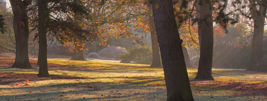 手机号狂轰滥炸软件